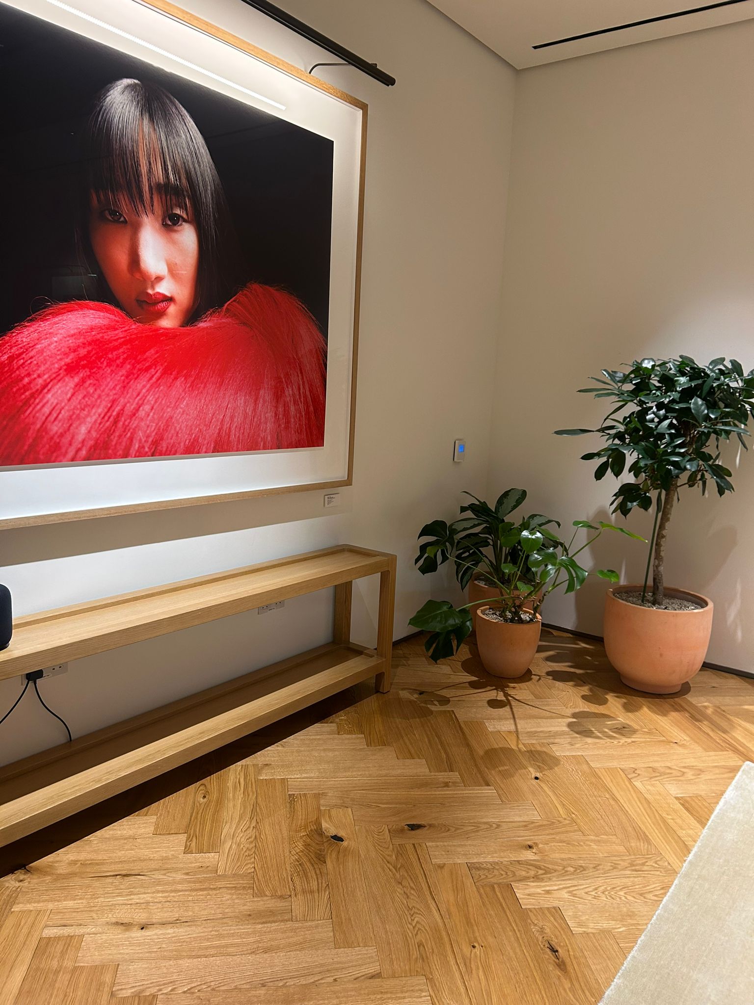 Furnished Event Space with timber floor - Loughton Direct